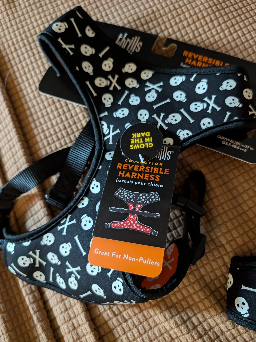 Thrills & Chills Glow In The Dark Skull Print Reversible Dog Harness
